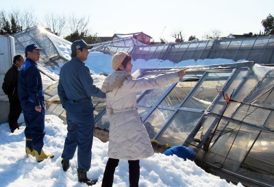 倒壊した農業用ハウスを視察する（右から）柳下、村岡県議ら＝2014年2月18日、深谷市