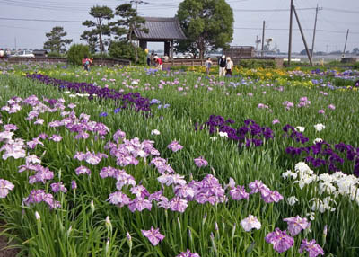 20060621siki