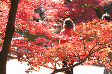 20081121siki