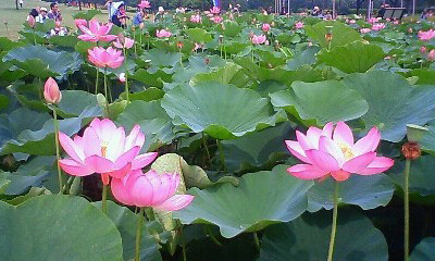 20090705siki