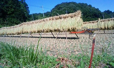 20090920siki1