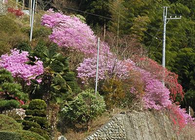 thumb_20090410siki4