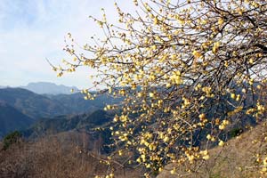 thumb_20091227siki1