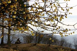 thumb_20091227siki4