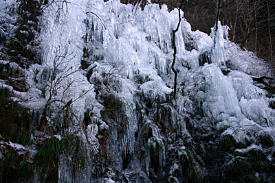 thumb_20100124siki01