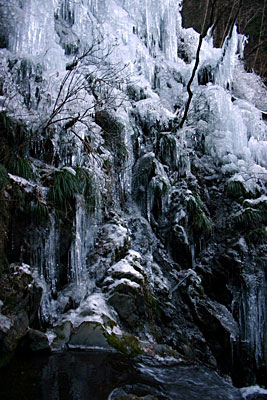 thumb_20100124siki02