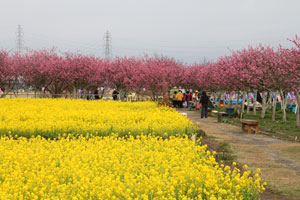 thumb_20100316siki02